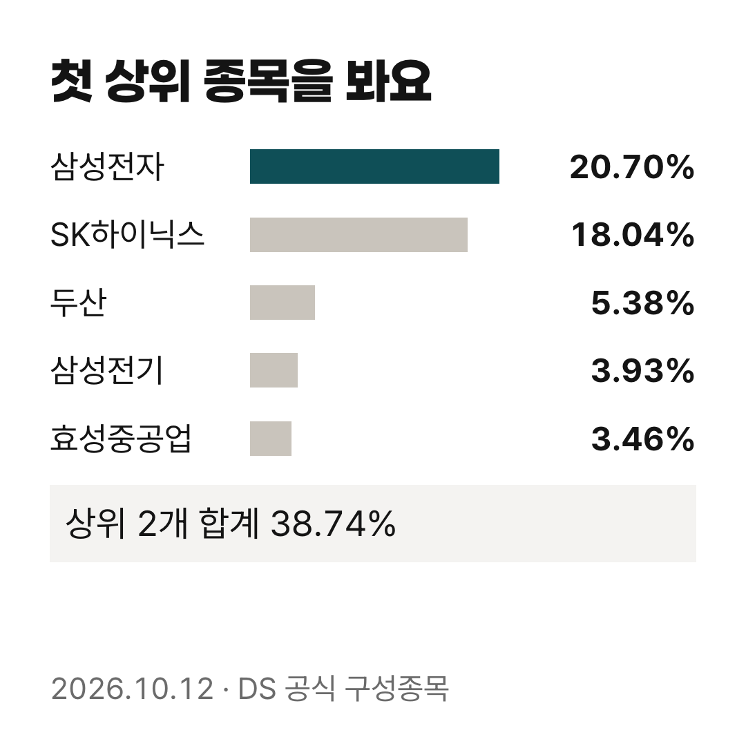 DS의 2026년 10월 12일 상위 5개 종목 비중